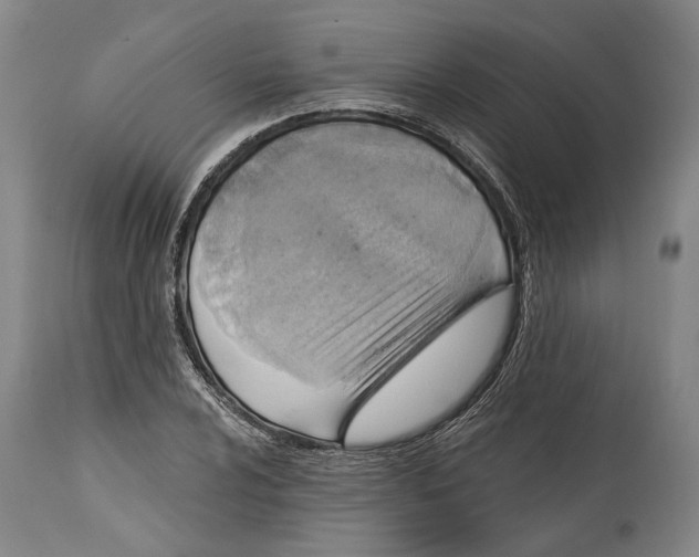 X0000114651024200911101316