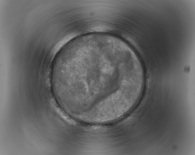 X0000114651026200911101316