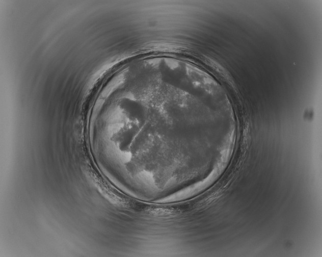 X0000114651027200911101316