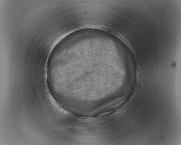 X0000114651028200911101316