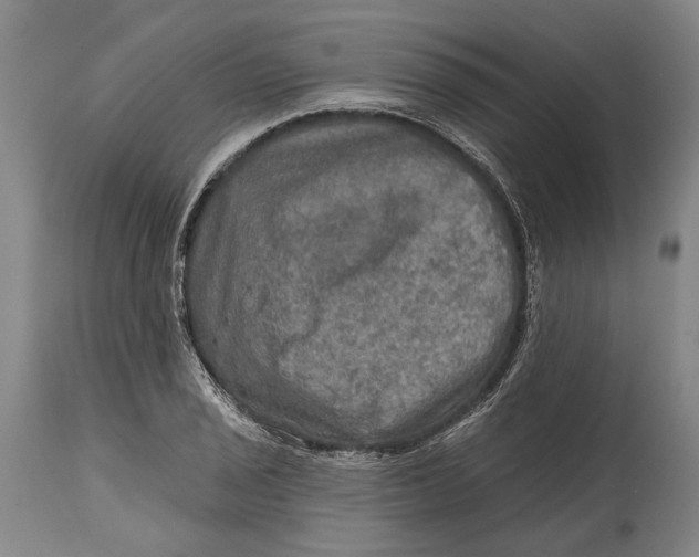 X0000114651029200911101316