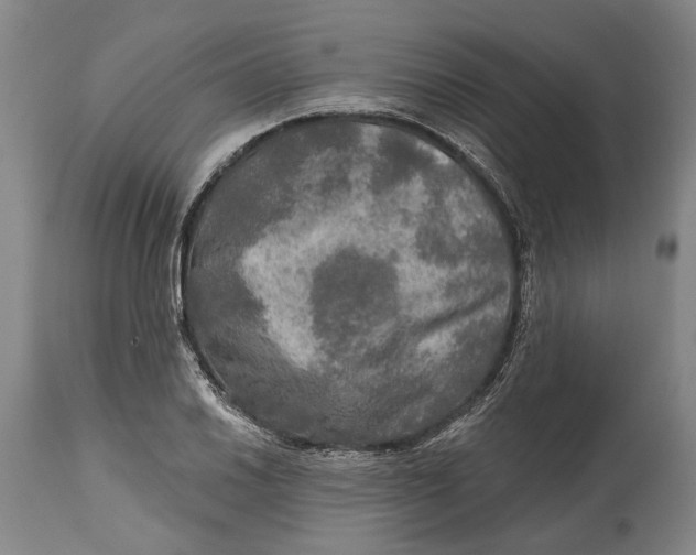 X0000114651030200911101316