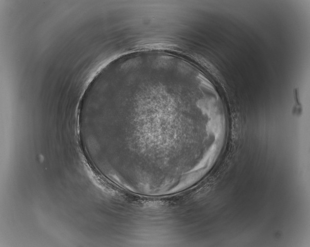 X0000114651031200911101316