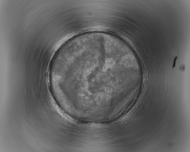 X0000114651034200911101316