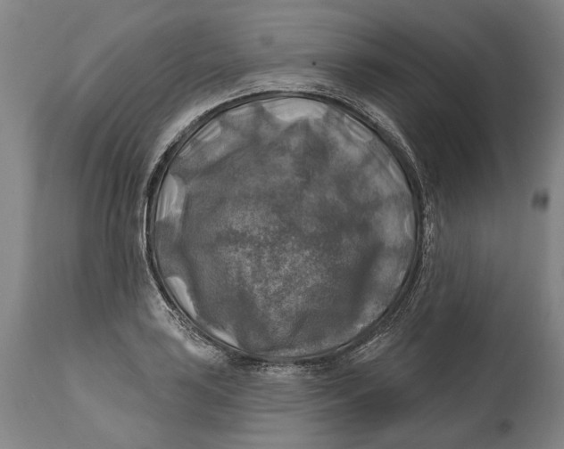 X0000114651035200911101316