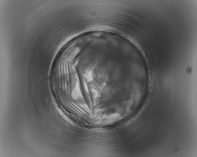 X0000114651037200911101316