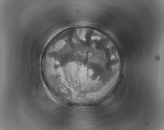 X0000114651039200911101316