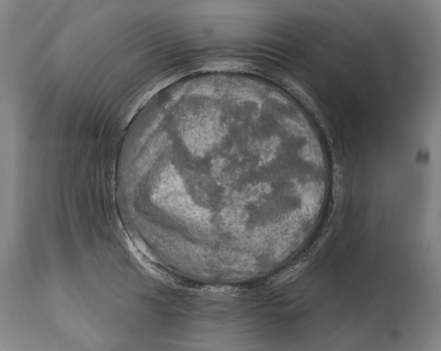 X0000114651041200911101316