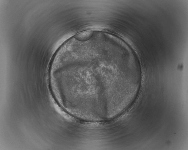 X0000114651042200911101316