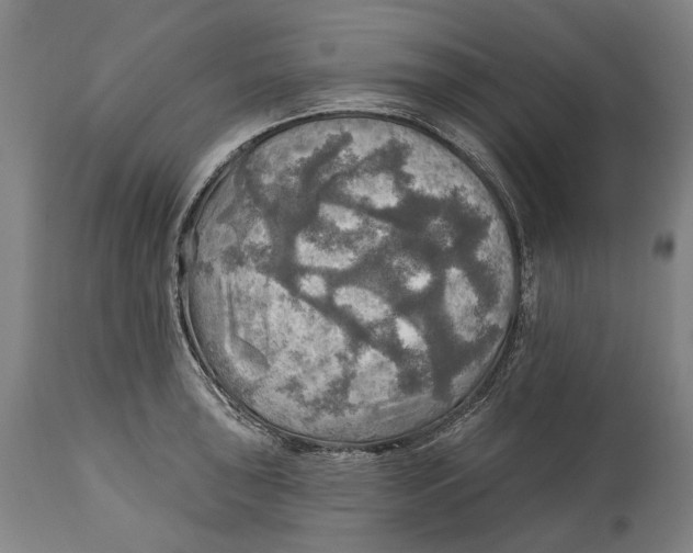 X0000114651043200911101316