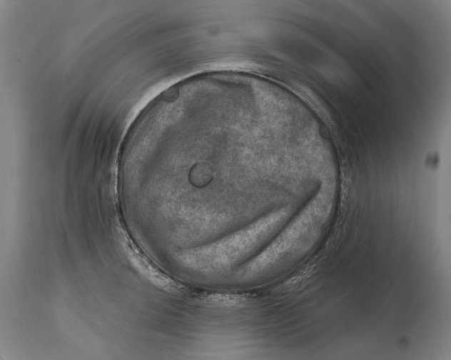 X0000114651044200911101316