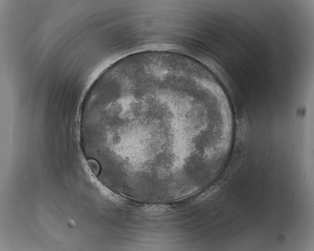 X0000114651046200911101316