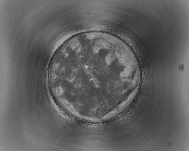 X0000114651047200911101316