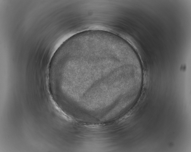 X0000114651048200911101316