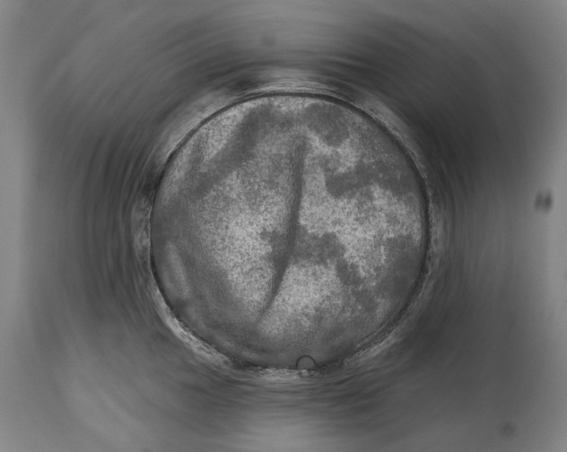 X0000114651049200911101316