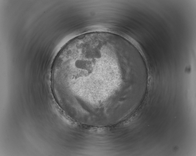 X0000114651051200911101316