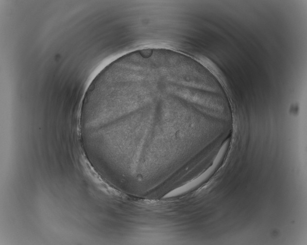 X0000114651052200911101316