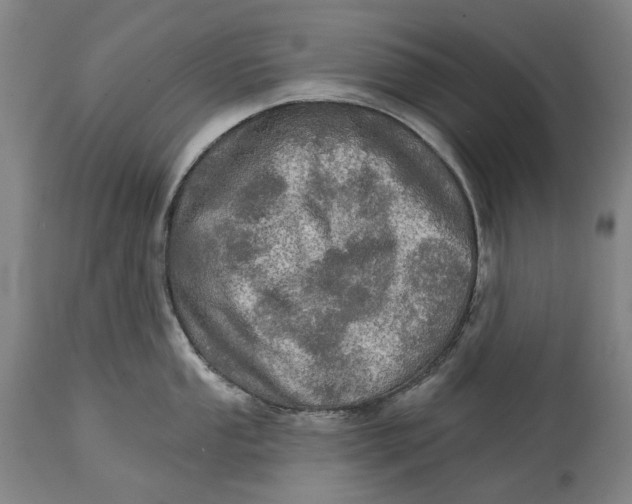 X0000114651053200911101316