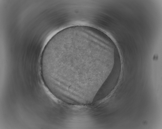 X0000114651056200911101316