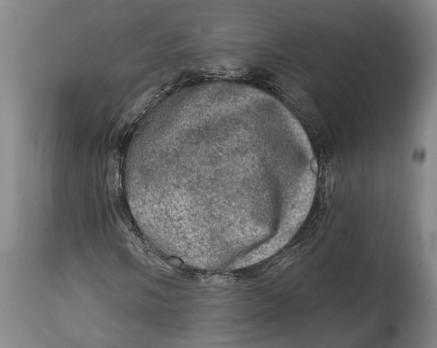 X0000114651058200911101316