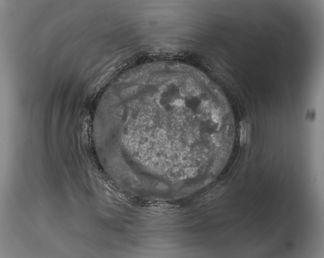 X0000114651059200911101316