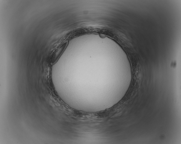 X0000114651061200911101316