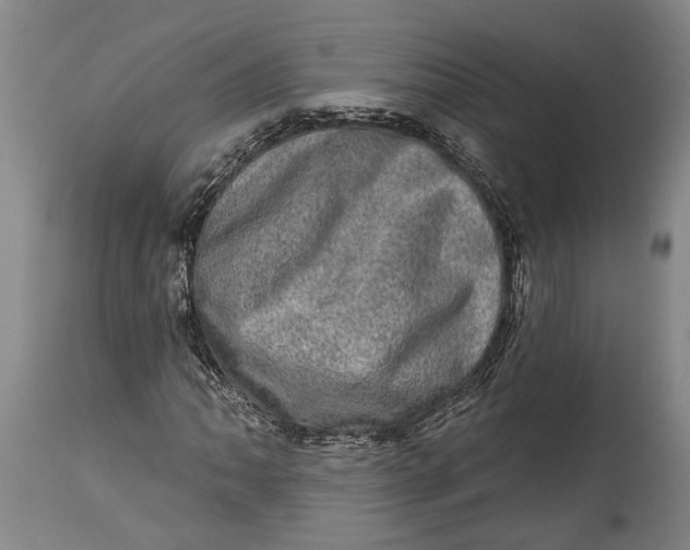 X0000114651062200911101316