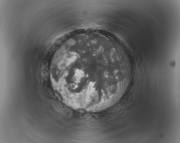 X0000114651063200911101316