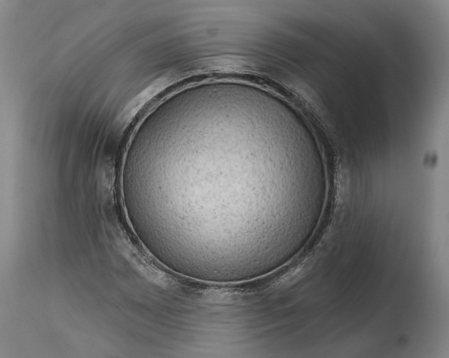 X0000114651065200911101316