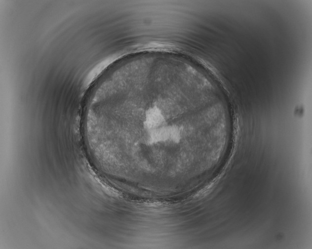 X0000114651066200911101316