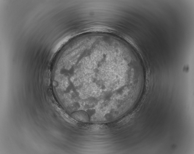 X0000114651067200911101316