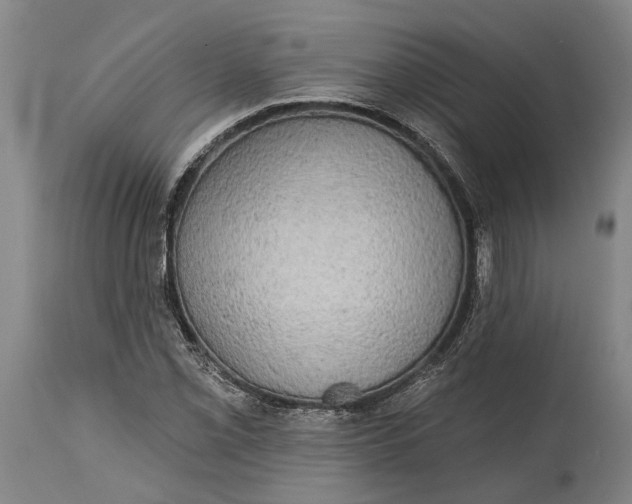 X0000114651069200911101316