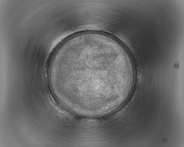 X0000114651070200911101316