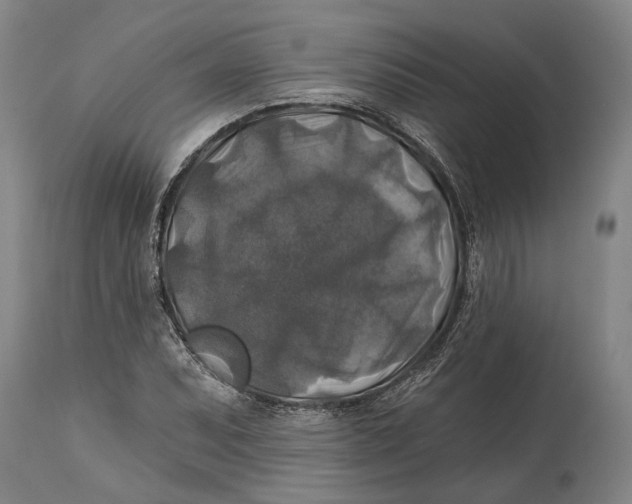 X0000114651071200911101316