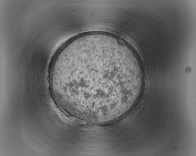 X0000114651072200911101316