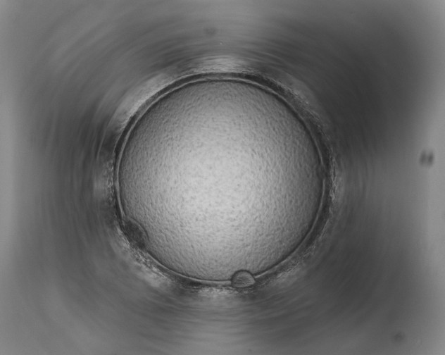 X0000114651073200911101315