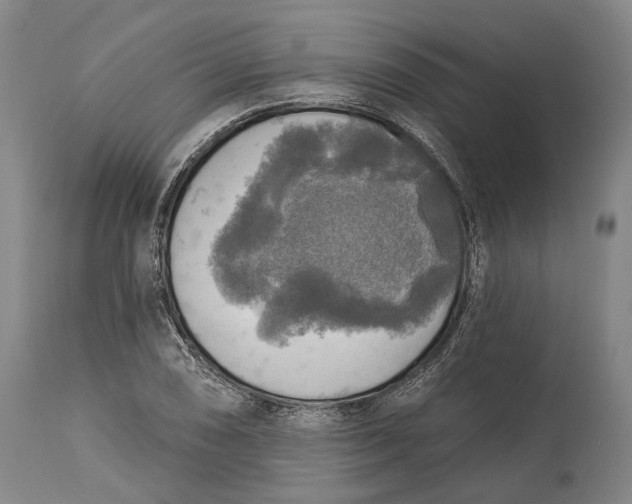 X0000114651074200911101315