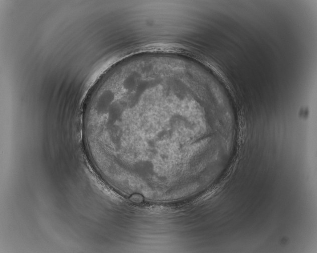 X0000114651075200911101315