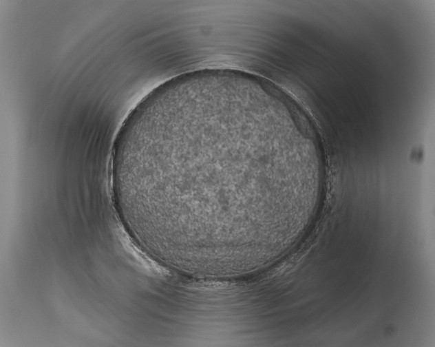 X0000114651076200911101315