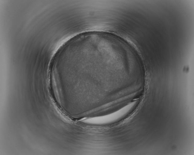 X0000114651077200911101315