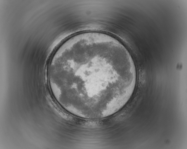 X0000114651078200911101315