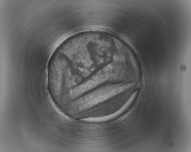 X0000114651079200911101315