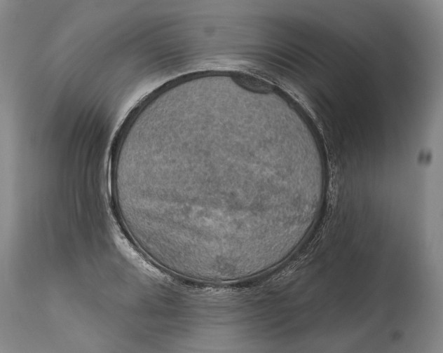 X0000114651080200911101315