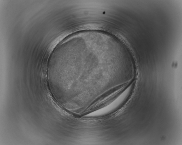 X0000114651081200911101315