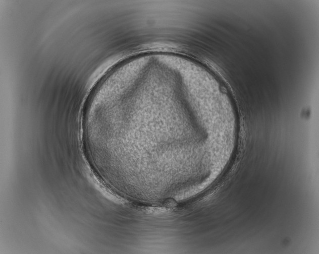 X0000114651082200911101315