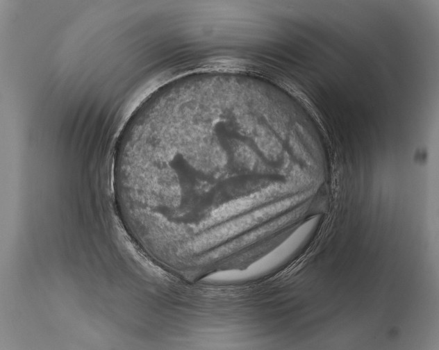 X0000114651083200911101315