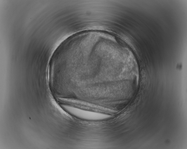 X0000114651084200911101315