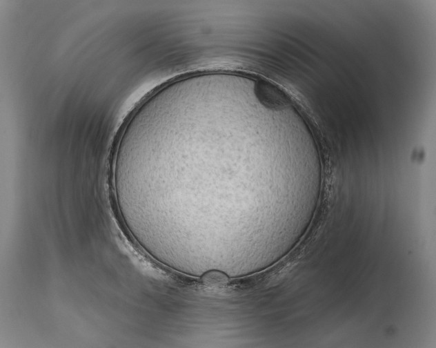 X0000114651086200911101315