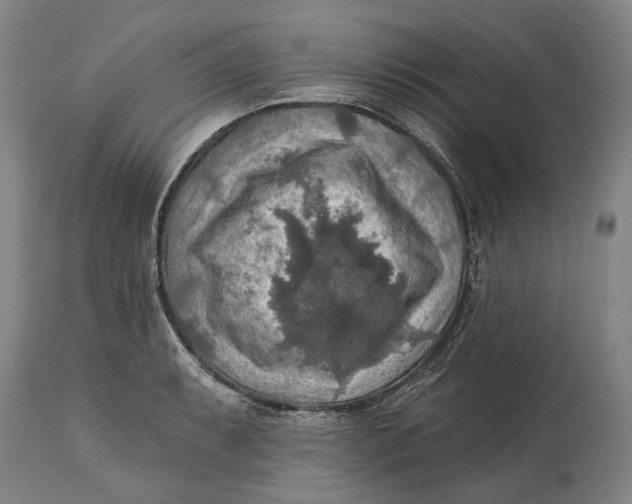 X0000114651087200911101315