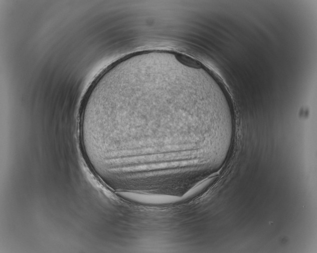 X0000114651088200911101315